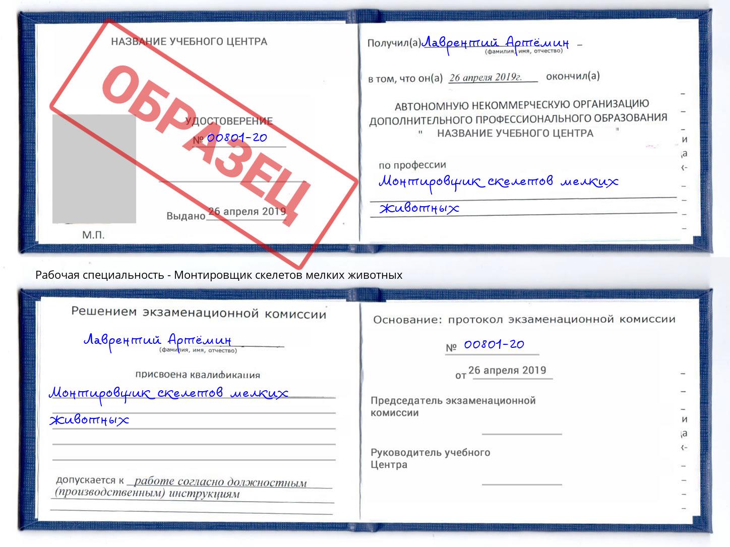 Монтировщик скелетов мелких животных Ленинск-Кузнецкий