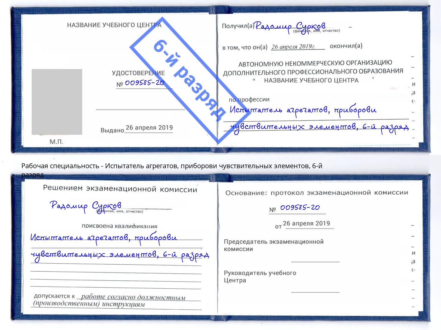 корочка 6-й разряд Испытатель агрегатов, приборови чувствительных элементов Ленинск-Кузнецкий