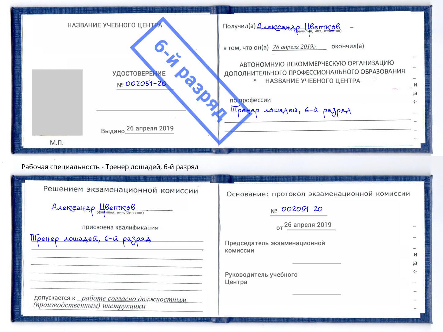 корочка 6-й разряд Тренер лошадей Ленинск-Кузнецкий