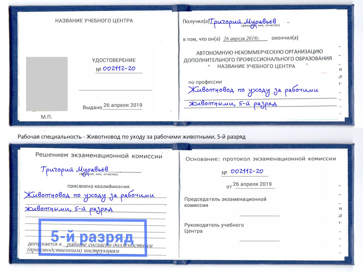 корочка 5-й разряд Животновод по уходу за рабочими животными Ленинск-Кузнецкий